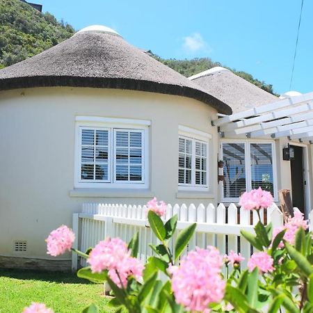 Amber Light Wilderness Beach Cottage エクステリア 写真